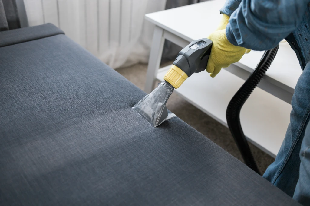 professional upholstery cleaning