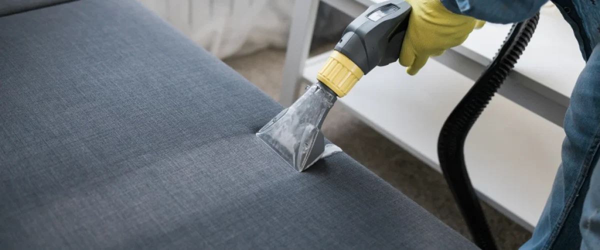 professional upholstery cleaning
